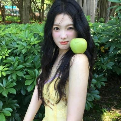 维达Ⅰ：过去的碎片